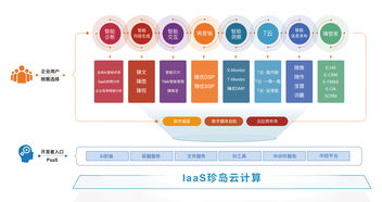 喜報(bào) 珍島榮膺2019上海軟件和信息技術(shù)服務(wù)業(yè)百強(qiáng)人工智能基礎(chǔ)軟件開發(fā)殊榮